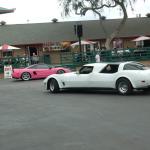 DR_Crusin4Cure_0029 (September 28, 2019)